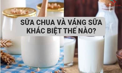 Sữa chua và Váng sữa khác biệt thế nào?